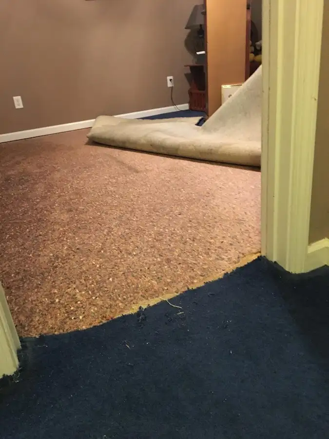 Carpet pad removal revealing water damage during Drying & Dehumidification in Adelanto
